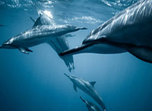 Kaiyun——开启未来生活的智慧之钥